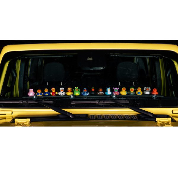 Duck-Roost-5-Boards Duck-Roost-5-Boards