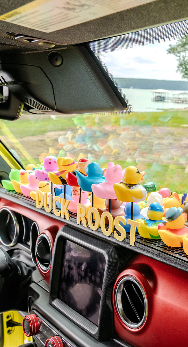 Duck-Roost-1
